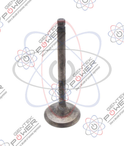 Generac 0C3591 Intake Valve For 530CC & Others