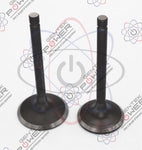 Generac 0J39430126 Intake & Exhaust Valve Set For 389CC/420CC Engines