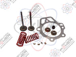 Generac 086293/090081/0A1720/0D24890SRV/0D24890ESV Valve Spring Kit