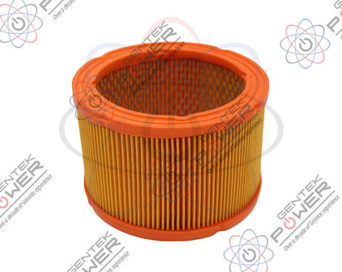 Generac 0G5894 Air Filter For 20kW 999CC Automatic Standby Generators